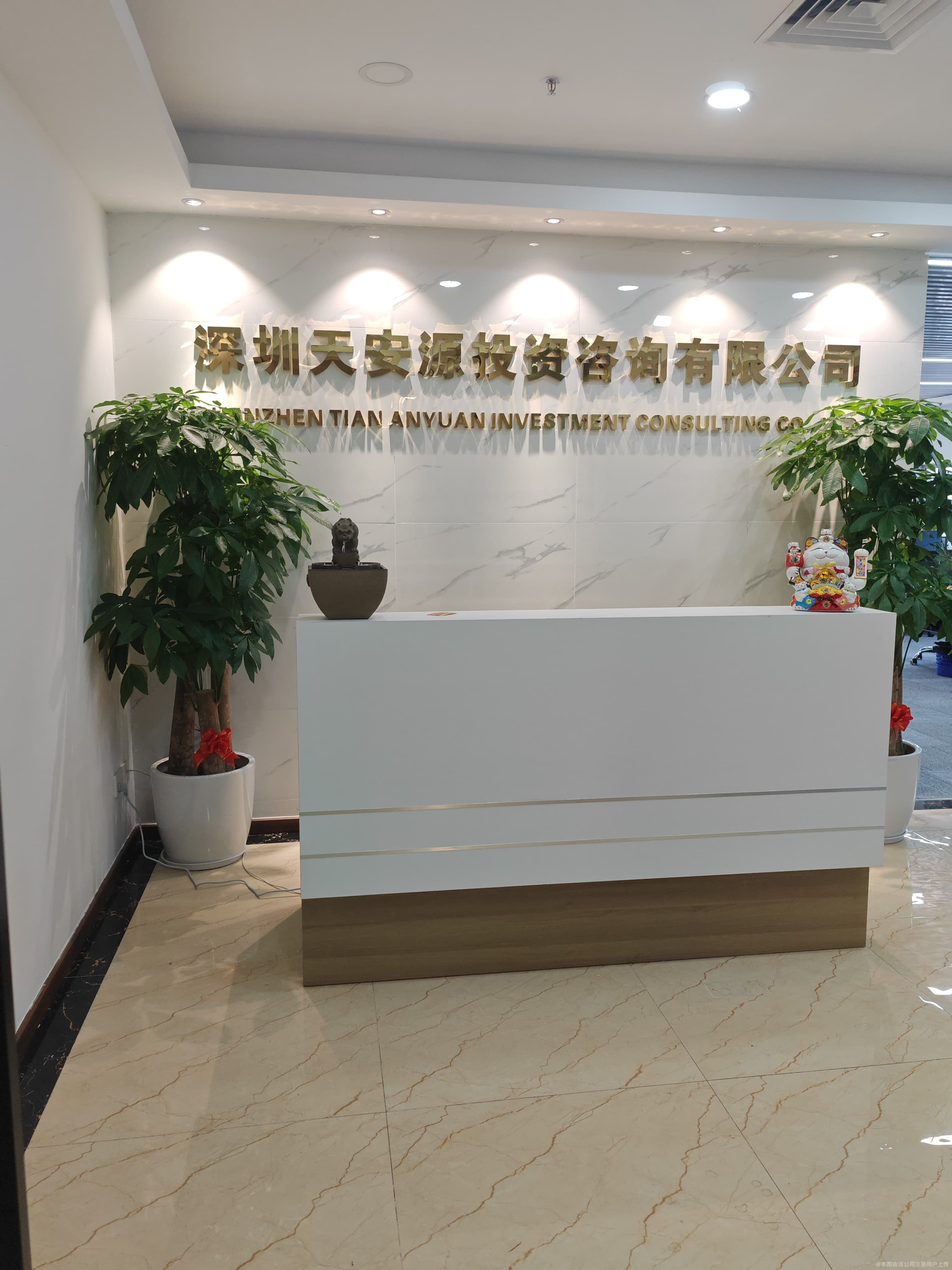 深圳天安源投資咨詢 專(zhuān)業(yè)引領(lǐng)，賦能企業(yè)投資決策
